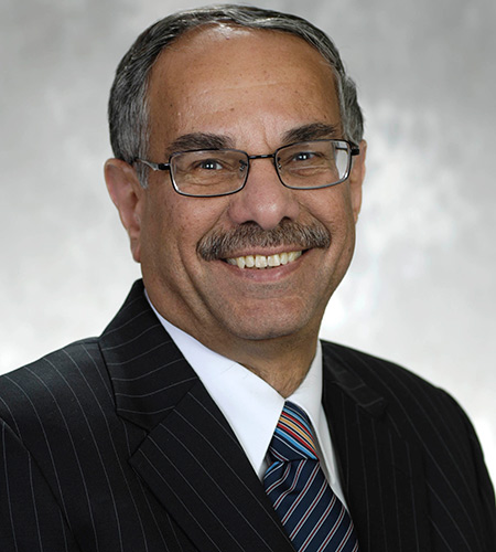 Distinguished University Professor Abbas Ali