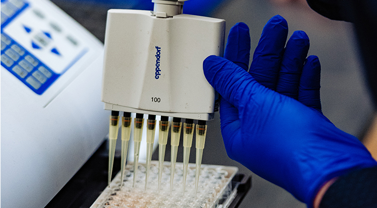 IUP Libraries Trial Access to JoVE Starts March 2