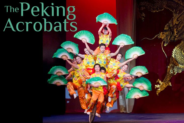 Peking Acrobats Photo