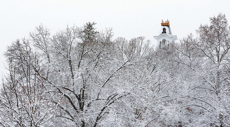 The bell tower of Sutton Hall appearing over a snow covered tree line