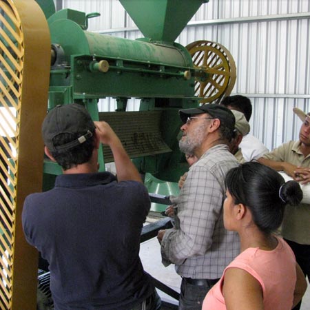 Workers inspecting coffee processing machinery