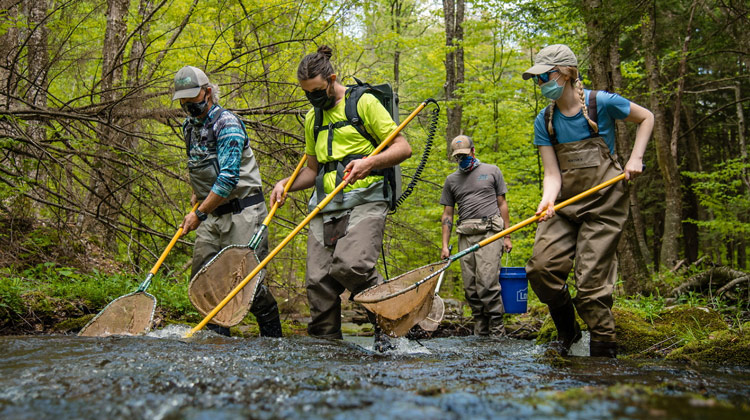 Masked students walking through a forest stream with fishing nets