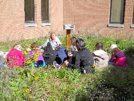 Groups and the local community
