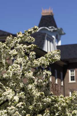 Campus Spring Sutton Hall Belltower