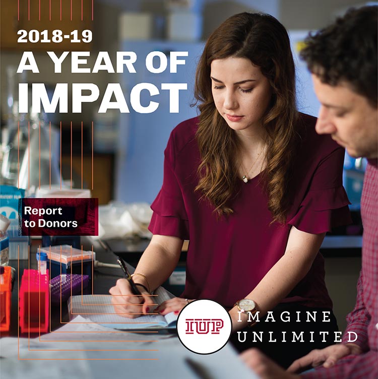 2018-19 A Year of Impact