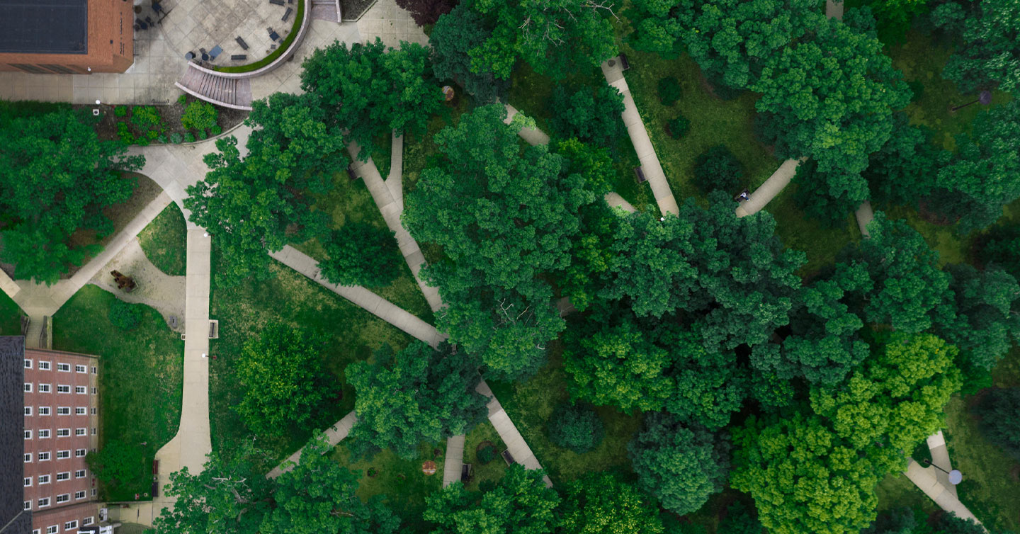 aerial photograph of the IUP oak grove