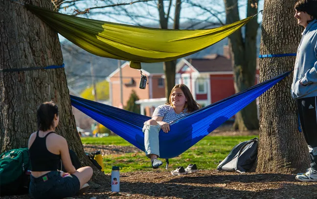 students smiling and sitting in and around hammocks tied to oak trees