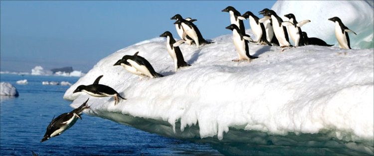 Leading a Group Abroad Leading a Group Abroad