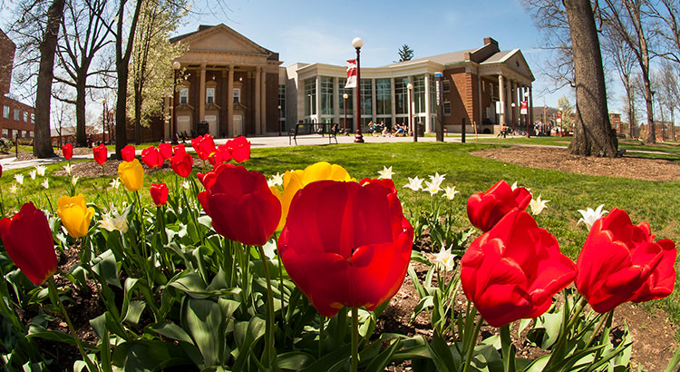 A view of the IUP Performing Arts Center with red and yellow tulips in the foreground.