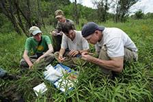 Biology professor Jeffery Larkin and his students study warblers in the field Biology professor Jeffery Larkin and his students study warblers in the field