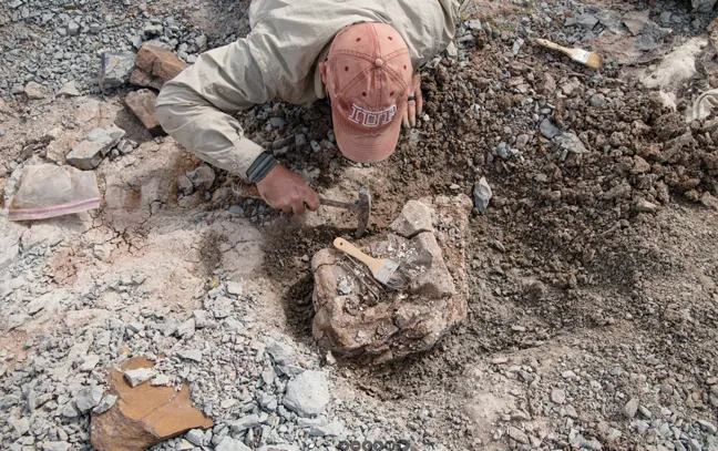 artistic image of a woman waking through a lab