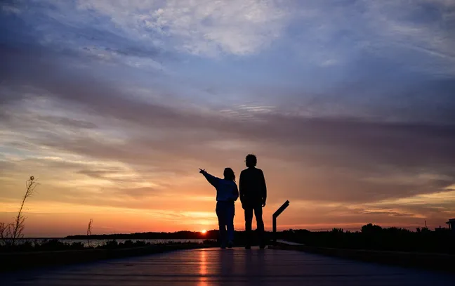 artistic image of a woman waking through a lab