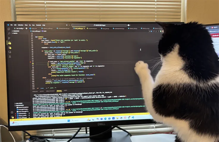 code on a monitor with a cat looking at the screen