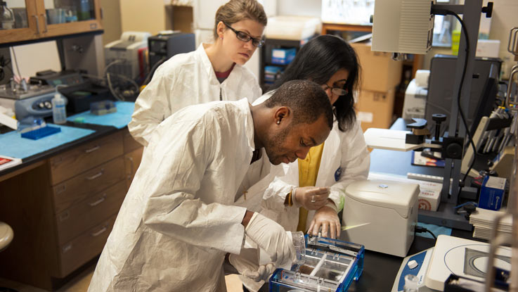 students work in a lab