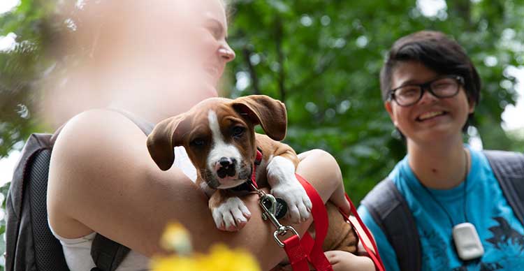 Students with a dog in the Oak Grove