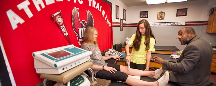 Students learn from a Kinesiology professor about using an ultrasound device 