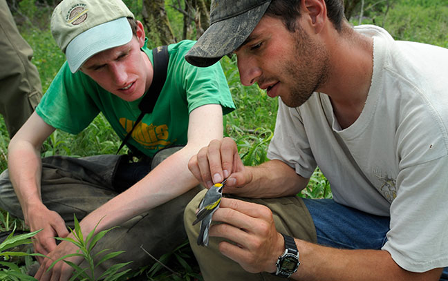 Two students working together at a desk