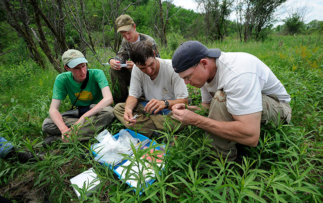 group of students and professor examining something in a field