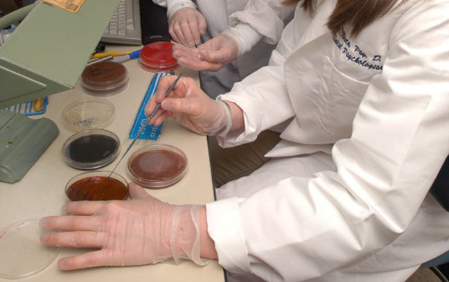 Close up of students in a lab working in a petri dish