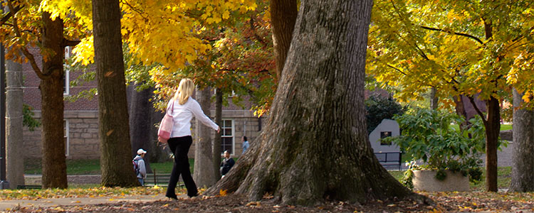 Person walking through the IUP Oak Grove