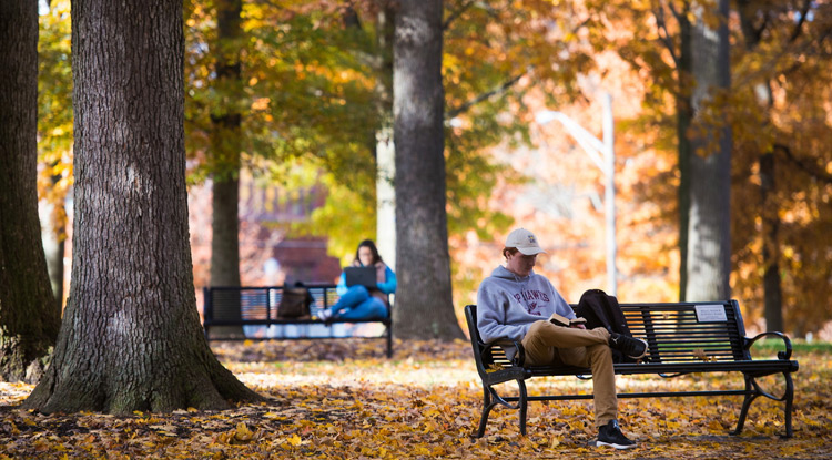 Students relaxing in the Oak Grove benches in Autumn
