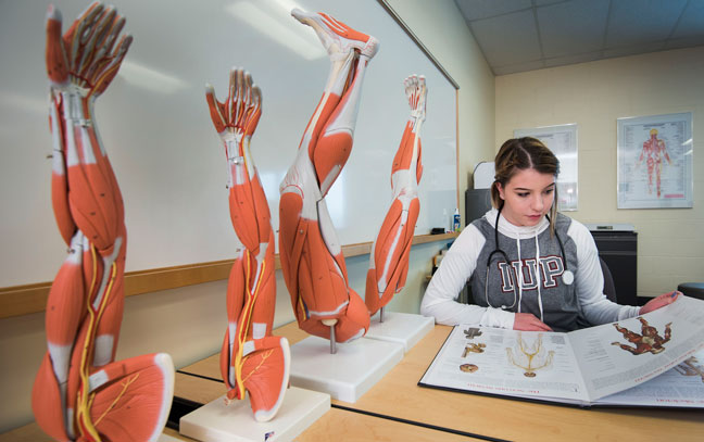 female student looking at an anatomy book in a lab with models of arm and leg muscles