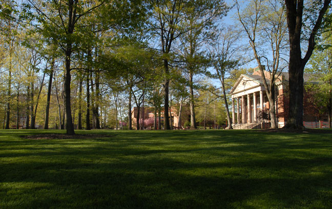 wide angle shot of the IUP oak grove in the spring time