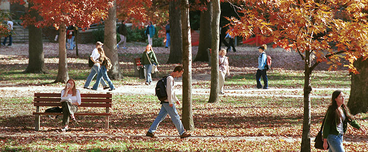 View of the IUP Oak Grove