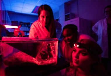 students in a lab analyzing a lab rat in a container