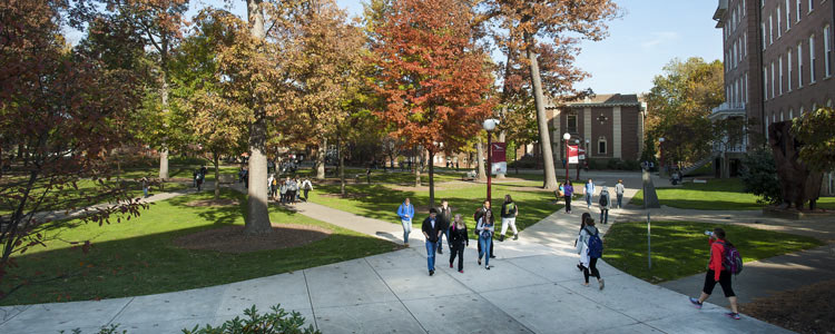 students walking through the Oak Grove at IUP on a fall day students on a tour of IUP