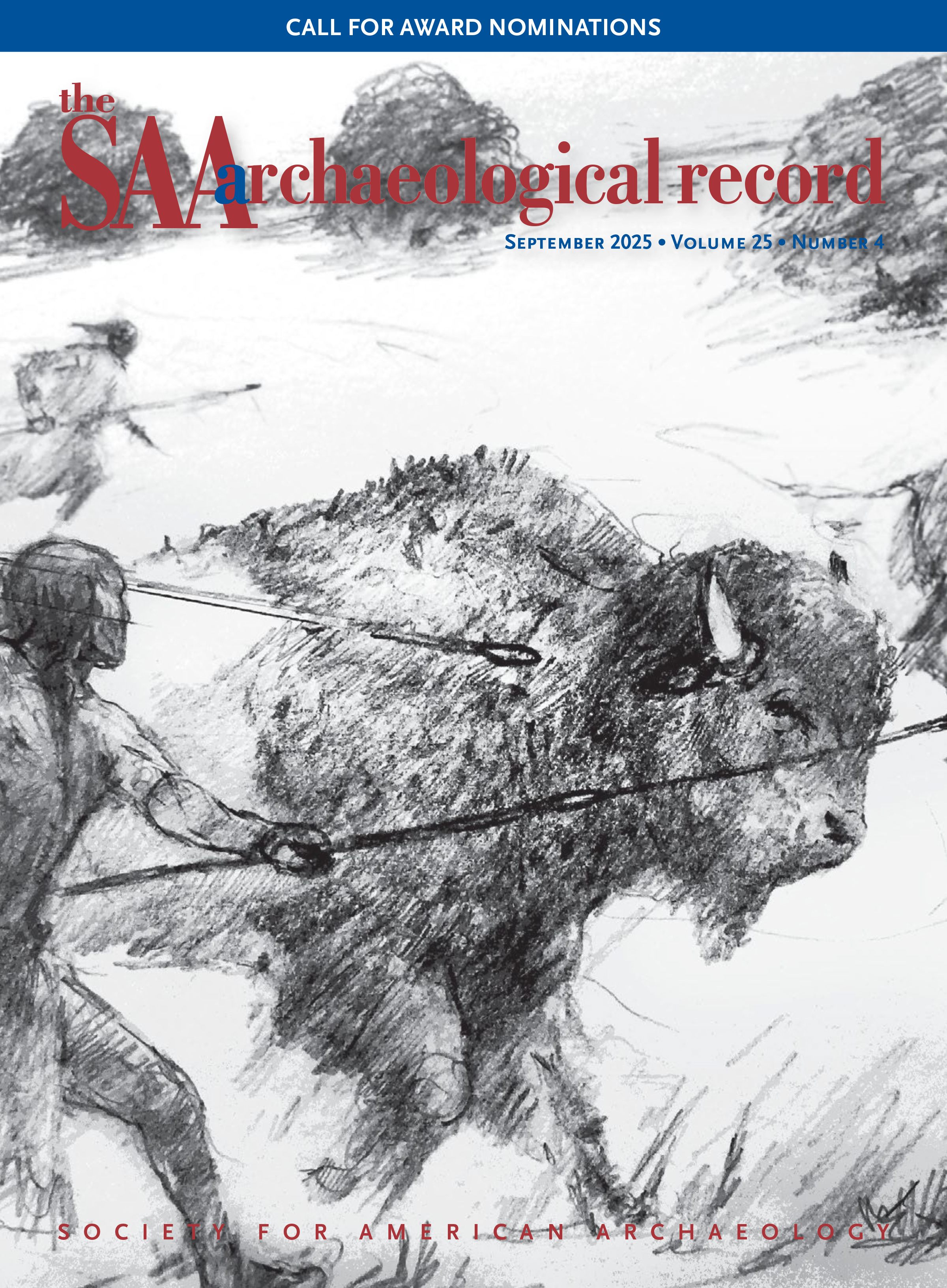 cover of the archaeological record