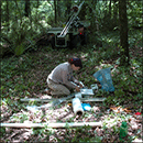 Core Sampling Louisiana