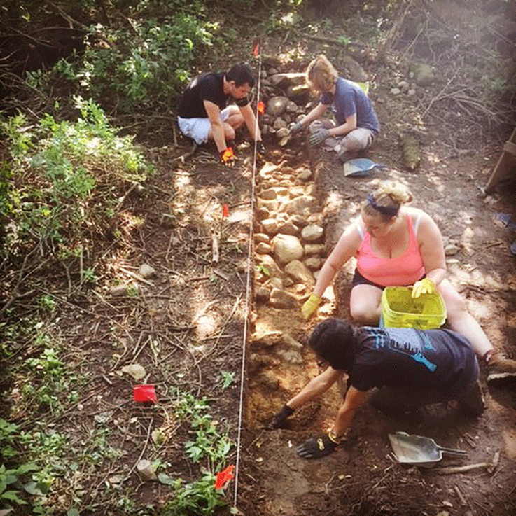 Trench 1 Excavation