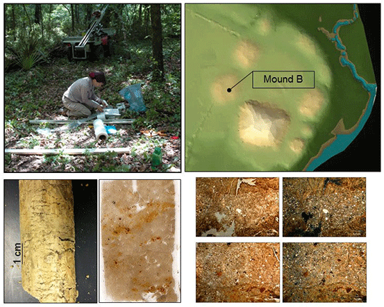 Homsey-Messer Fieldwork