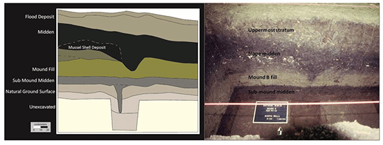 Raffman Site Stratigraphy