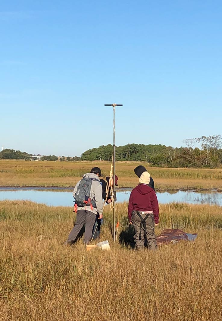 Four students working on equipment in a field with a pond behind them