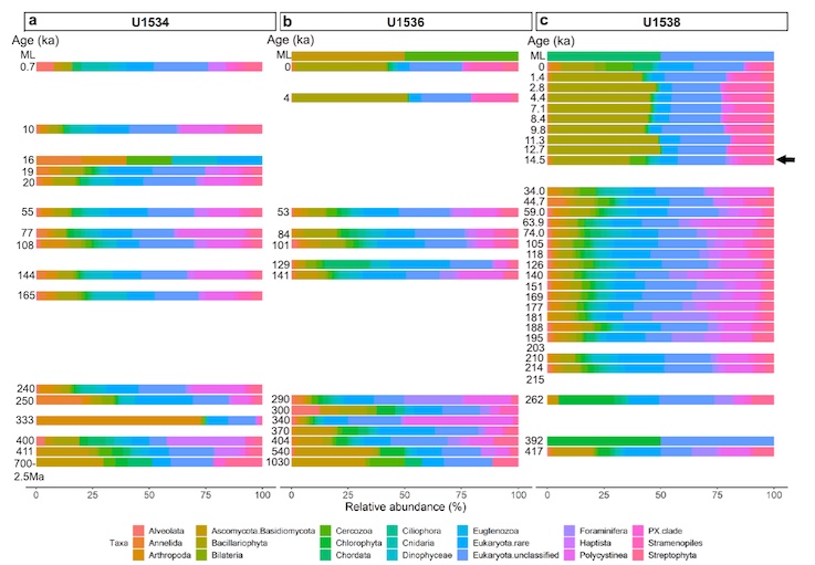 Warnock and Coauthors Publish on Ancient Ecosystem Shifts Near Antarctica