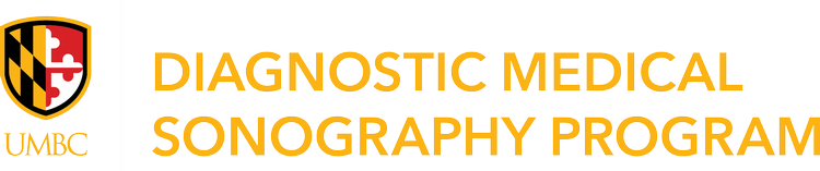 UMBC Logo