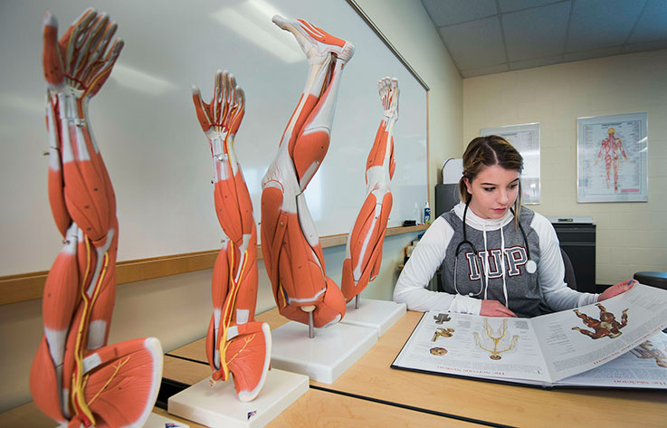 A student sits at a desk looking at an anatomy book, next to anatomical models or the muscle structure of arms and legs
