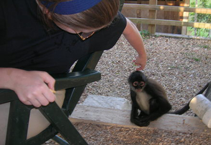 An anthropology student examines a spider monkey