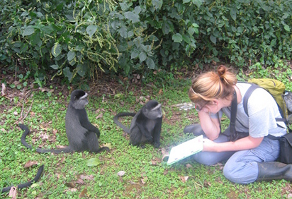 Alicia Rich studied primates in Kenya
