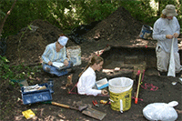 Excavation in Louisiana