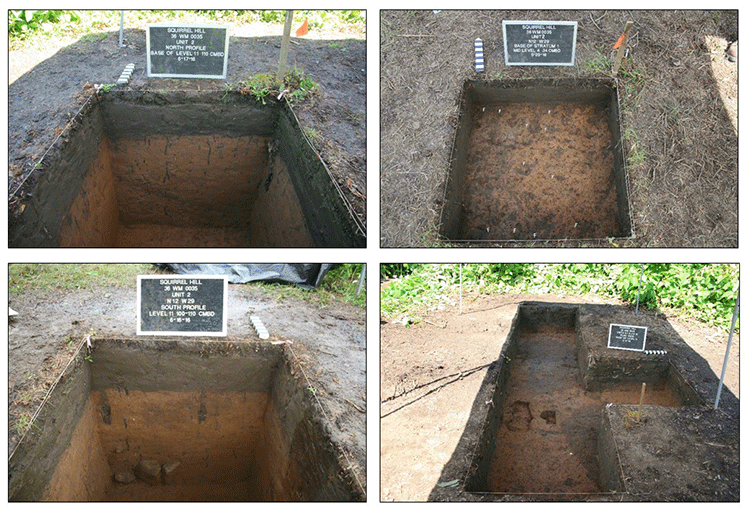 Excavation units at Squirrel Hill. Features are clearly visible in the bottom right photo.