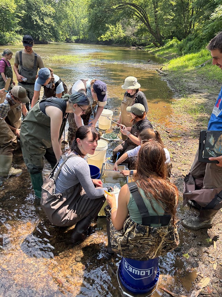 PLE students sampling in a river
