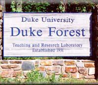 Duke Duke