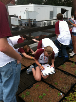 Dr. Travis' Environmental Education class