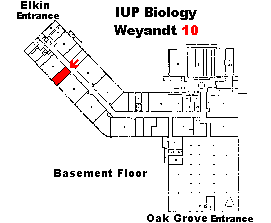 Weyandt 10 Map