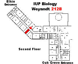 Weyandt 212B Map