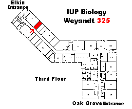 Weyandt 325 Map
