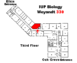 Weyandt 330 Map